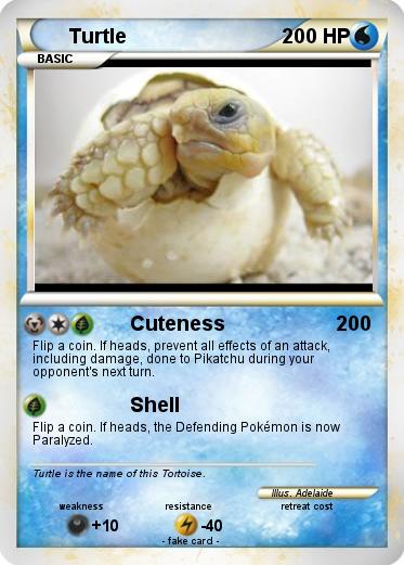 Pokemon Turtle