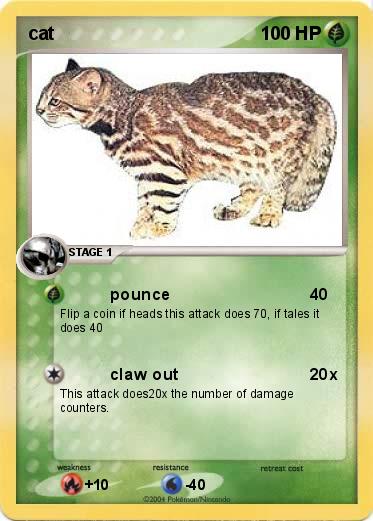 Pokemon cat