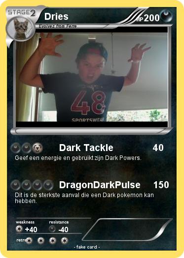 Pokemon Dries