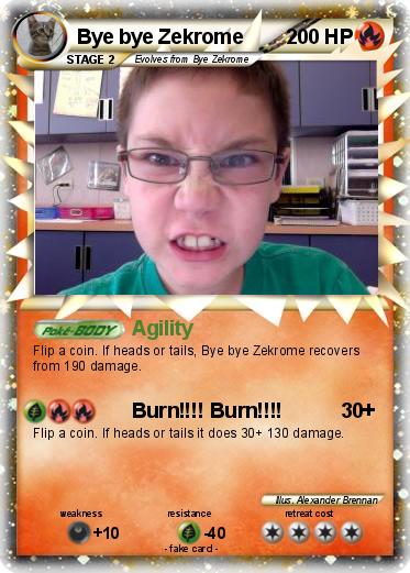 Pokemon Bye bye Zekrome