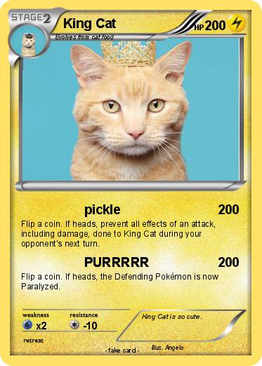 Pokemon King Cat