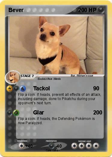 Pokemon Bever