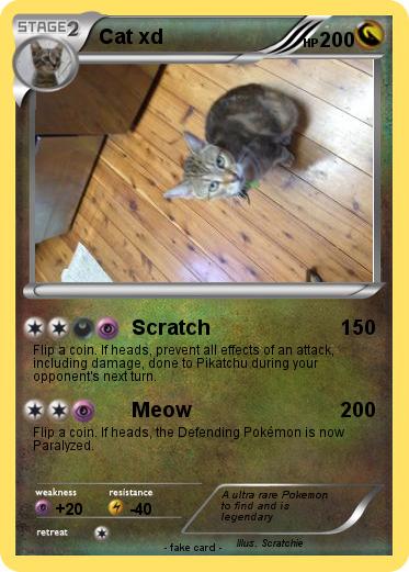 Pokemon Cat xd