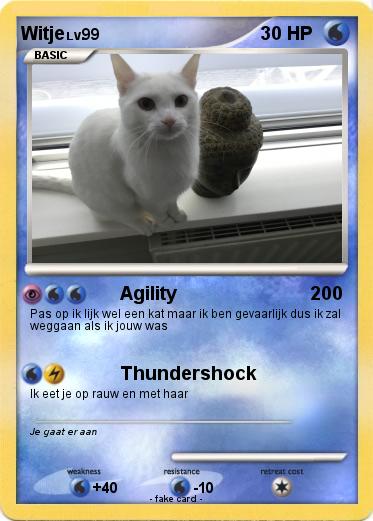 Pokemon Witje