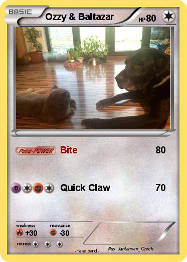 Pokemon Ozzy & Baltazar
