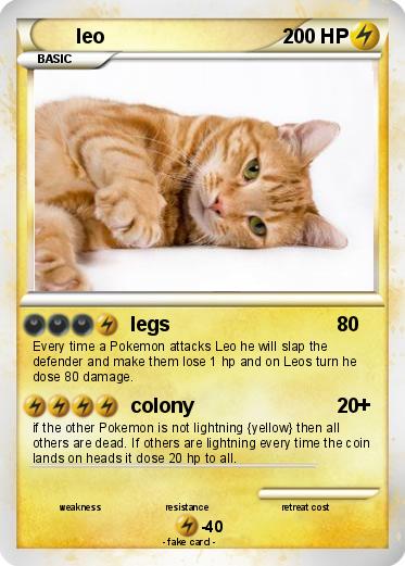 Pokemon leo