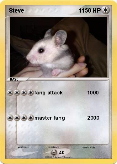 Pokemon Steve                                  1