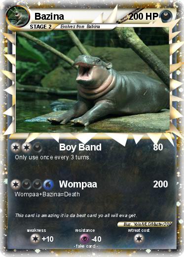 Pokemon Bazina