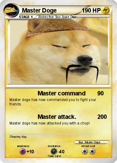 Pokemon Master Doge