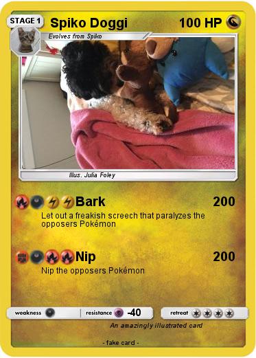 Pokemon Spiko Doggi