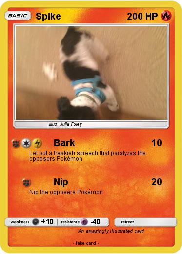 Pokemon Spike
