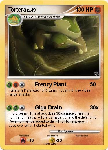 Pokemon Tortera