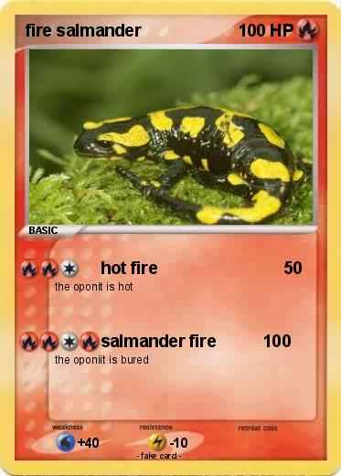 Pokemon fire salmander