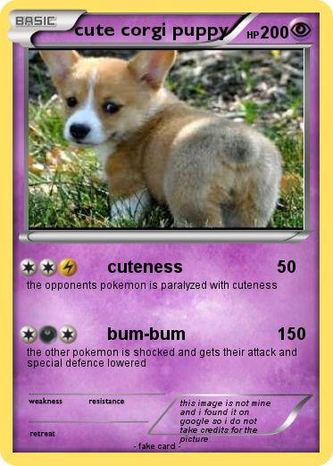 Pokemon cute corgi puppy