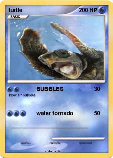 Pokemon turtle