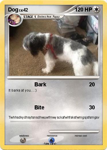 Pokemon Dog