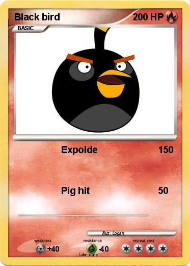 Pokemon Black bird