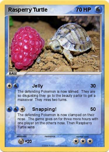 Pokemon Rasperry Turtle 