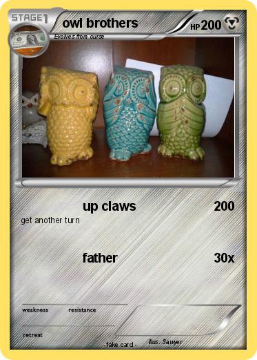 Pokemon owl brothers