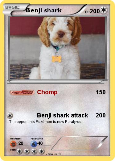 Pokemon Benji shark