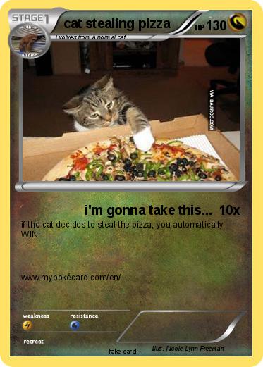 Pokemon cat stealing pizza