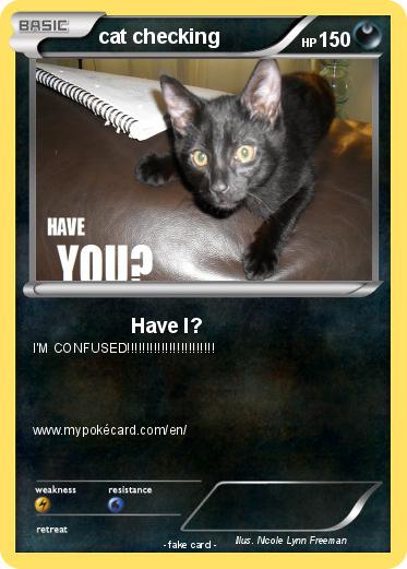 Pokemon cat checking