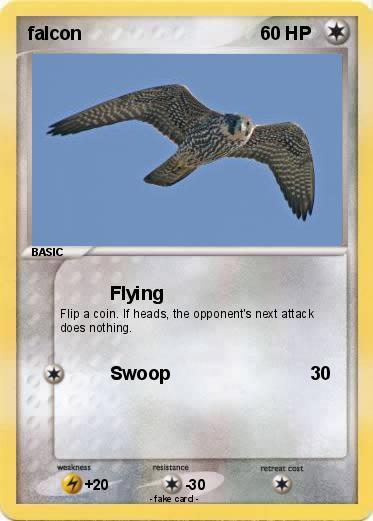 Pokemon falcon