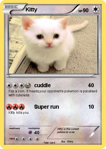 Pokemon Kitty