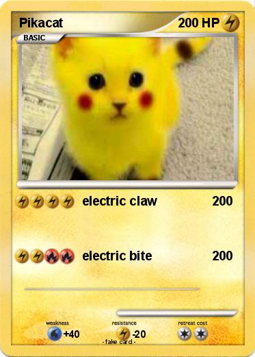 Pokemon Pikacat