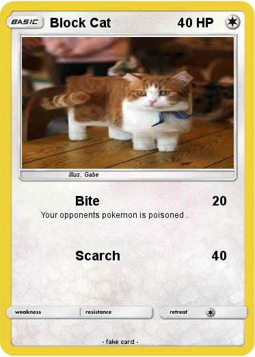 Pokemon Block Cat