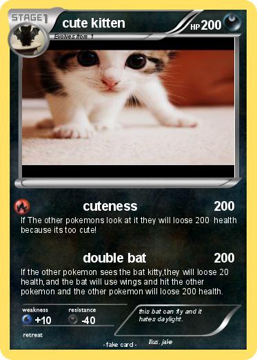 Pokemon cute kitten