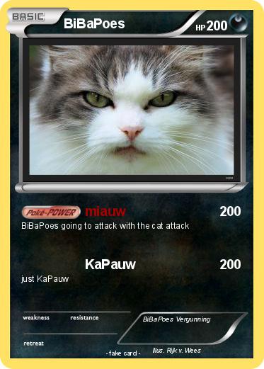 Pokemon BiBaPoes