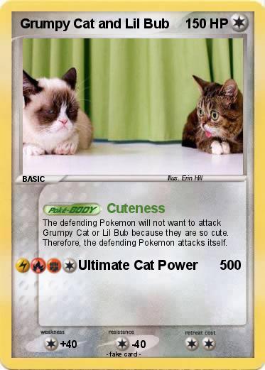 Pokemon Grumpy Cat and Lil Bub