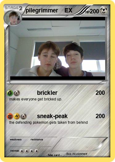 Pokemon pilegrimmer    EX