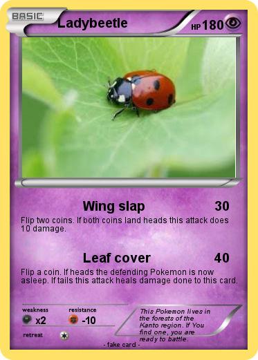 Pokemon Ladybeetle