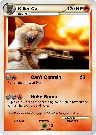 Pokemon Killer Cat