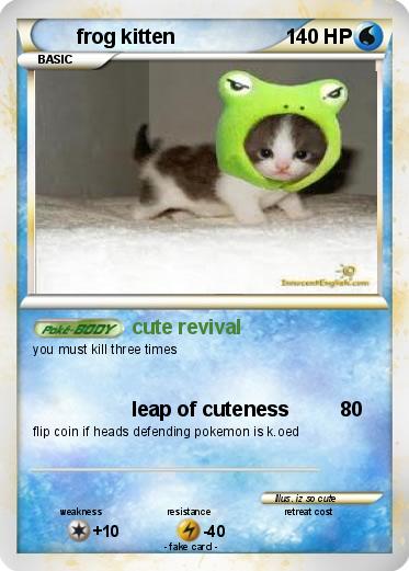 Pokemon frog kitten