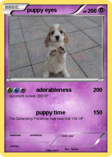 Pokemon puppy eyes