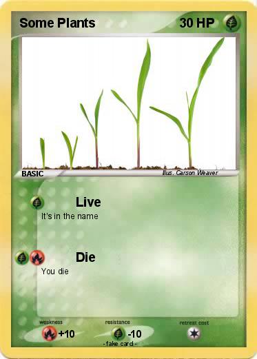 Pokemon Some Plants