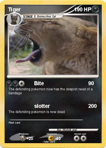 Pokemon Tiger