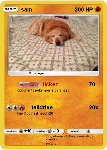 Pokemon sam