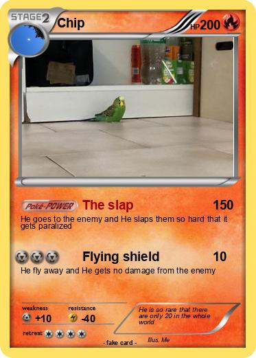 Pokemon Chip