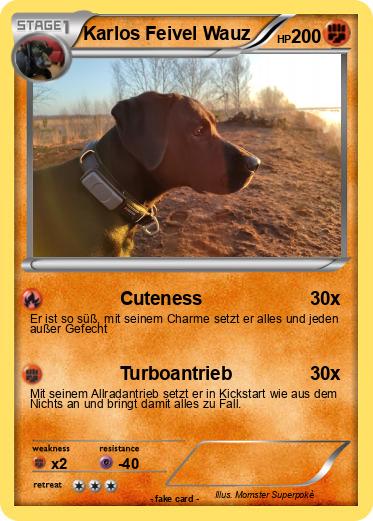 Pokemon Karlos Feivel Wauz