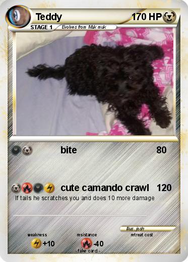 Pokemon Teddy