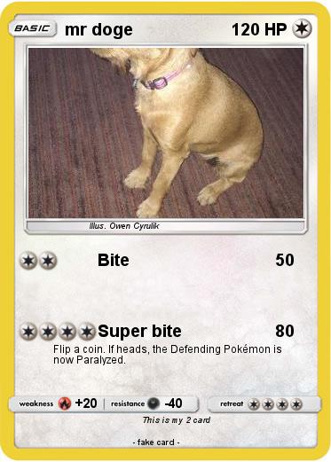 Pokemon mr doge