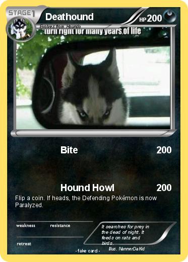 Pokemon Deathound