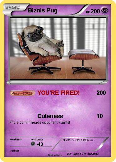 Pokemon Biznis Pug