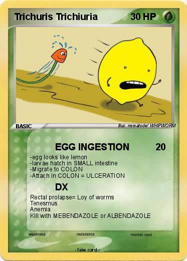 Pokemon Trichuris Trichiuria
