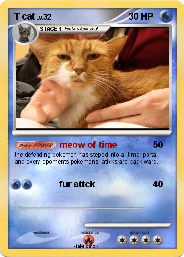 Pokemon T cat
