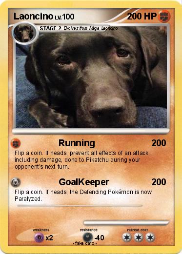 Pokemon Laoncino